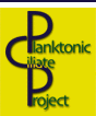 PCP Logo