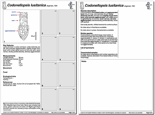 A minutum page 1