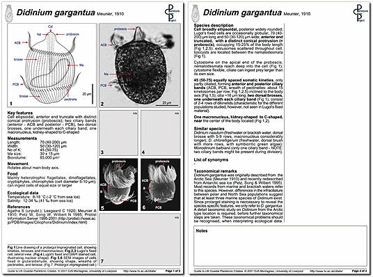 A minutum page 1