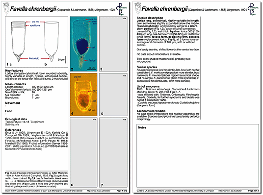 A minutum page 1