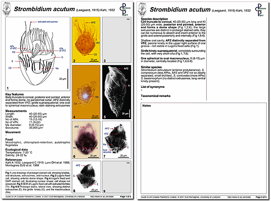 A minutum page 1
