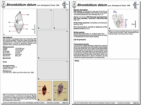 A minutum page 1