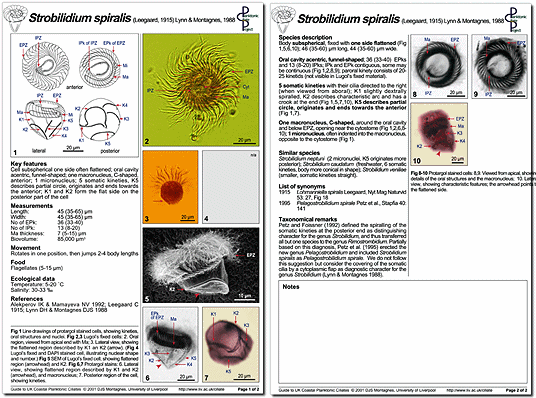 A minutum page 1