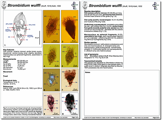 A minutum page 1