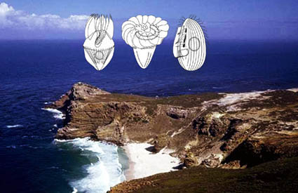 coast