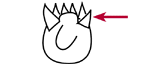 Adoral polykinetid zone